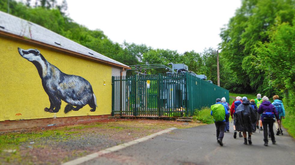 Ramblers walk past a badger mural - Credit Ben Dolphin